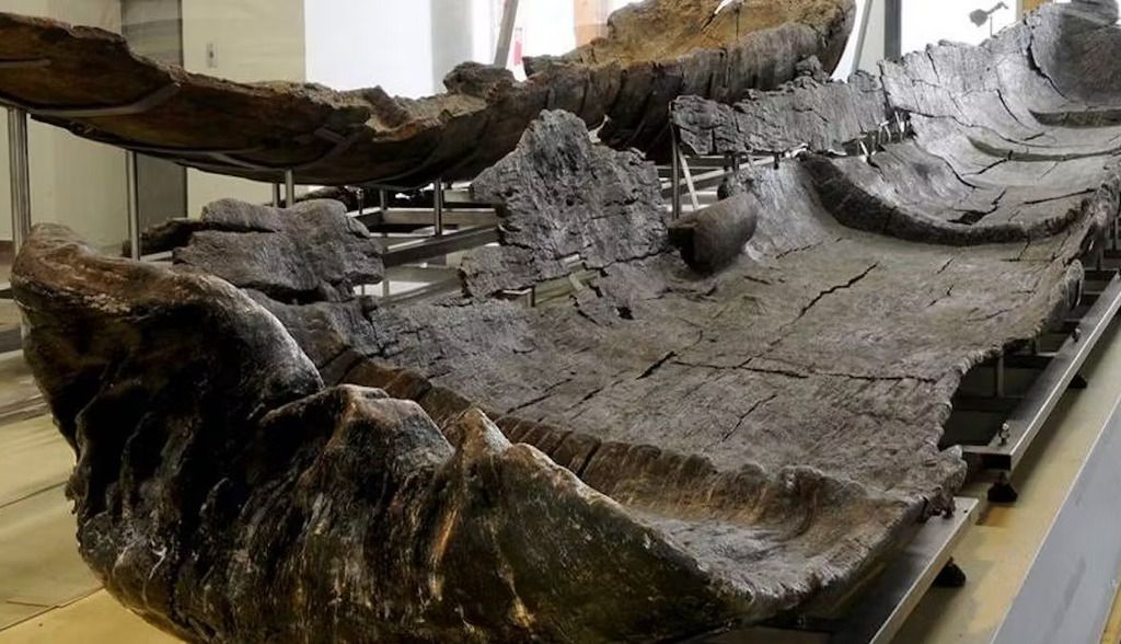 El misterio de las canoas abandonadas cerca de Roma hace 7 000 años