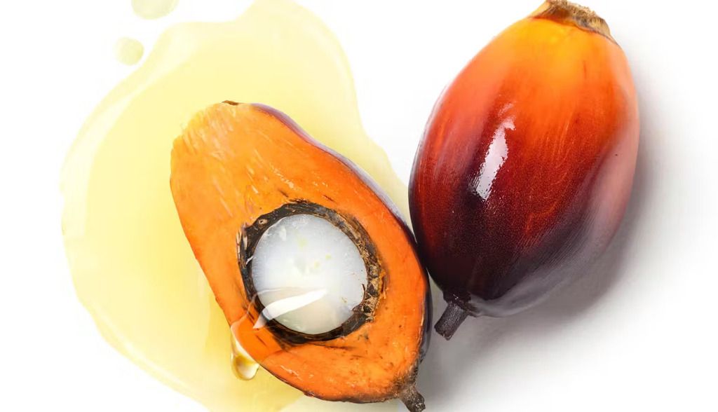 La grasa de palma se agarra a nuestras proteínas y nos puede hacer enfermar
