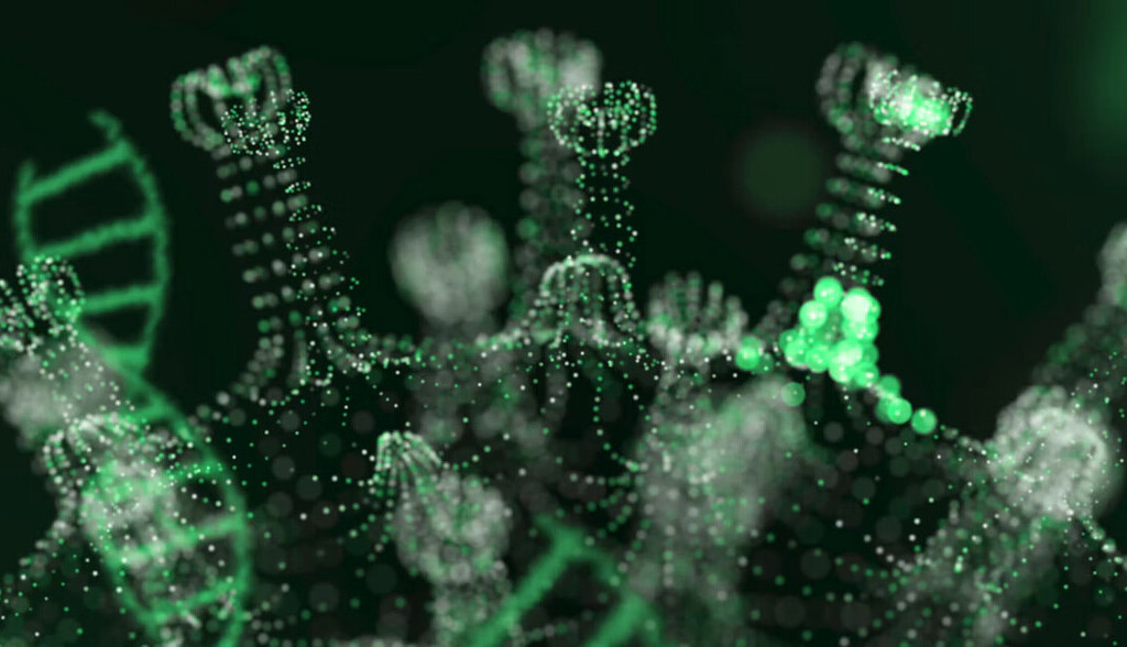 Ecología de los virus otoñales: cuáles son los más frecuentes y cómo interfieren entre sí