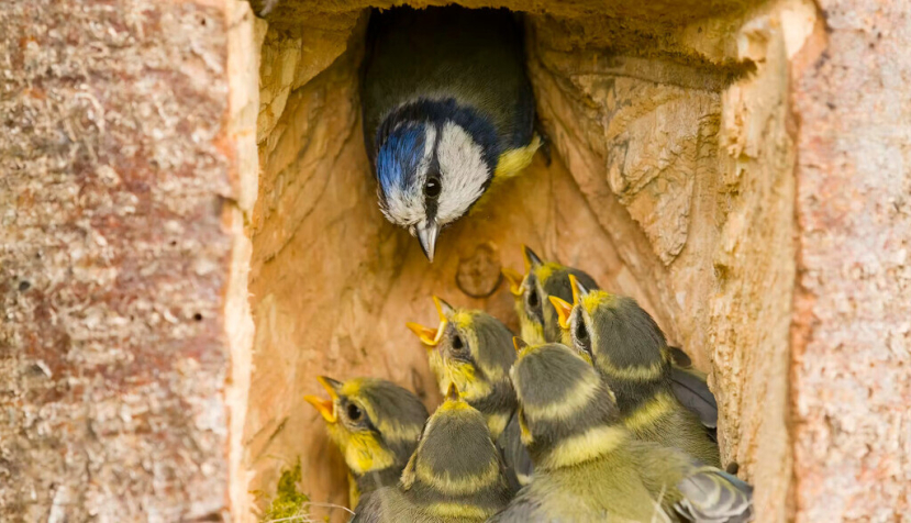  Paul Sawer/Shutterstock