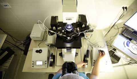 Proyectos de imagen molecular y metabolismo, entre las becas BBVA / EFE