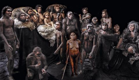 La colonización de Europa por el ‘Homo sapiens’: un macroestudio pone nuevas cartas en la baraja
