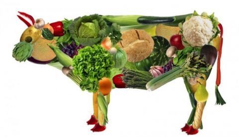 Vitamina B12. El talón de Aquiles para veganos y vegetarianos