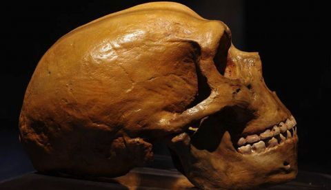 Cambio climático y evolución humana