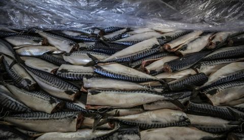 Consumir pescado durante el embarazo mejora la capacidad de atención de niños. EFE/Mohammed Saber/Archivo