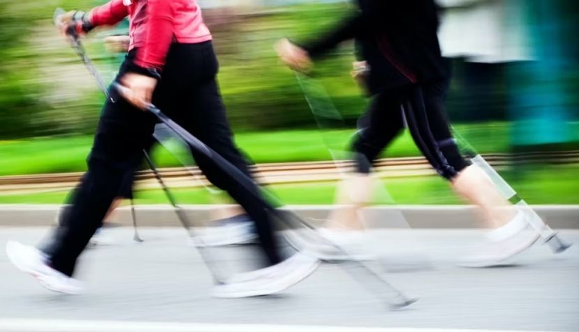 Shutterstock / Blazej Lyjak