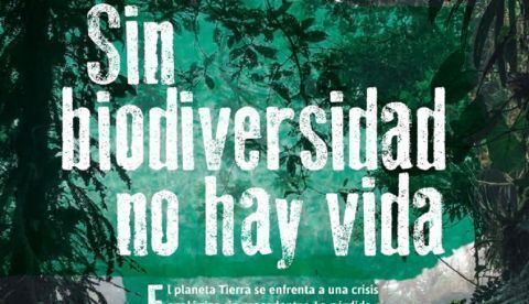 Imagen cedida por Ecologistas en Acción de los paneles que conformarán la exposición que lanza Ecologistas con la campaña 'Sin biodiversidad no hay vida'. EFE