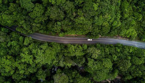 El ecologismo como base para un nuevo orden internacional