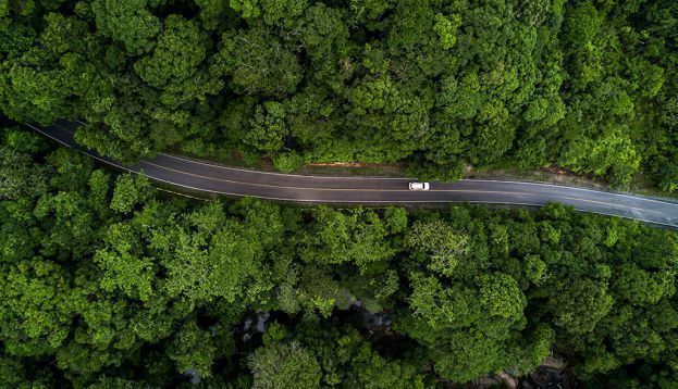 El ecologismo como base para un nuevo orden internacional