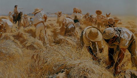 Amós Acero y el trabajador agrícola ante las elecciones municipales de 1920