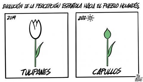“Tulipanes”