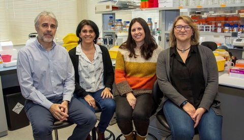 Ignacio Pérez de Castro, Nerea Matamala, Gema Gónez Mariano y Beatriz Martínez-Delgado (autora principal del trabajo), del Grupo de Genética Molecular del Instituto de Investigación en Enfermedades Raras del Instituto de Salud Carlos III (ISCIII). Imagen cedida por el ISCIII.  EFE