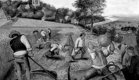 La Cátedra de Agricultura de Llerena en tiempos de Fernando VII