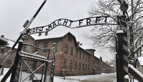 Arbeit Macht Frei o el monstruo que regresa