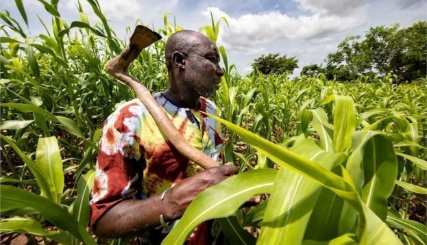 Les paysans du Burkina Faso sont inquiets pour leur avenir. Pour cause, l'insécurité grandissante, la pression foncière et la surexploitation des terres. Raphael Belmin / Cirad, CC BY-NC-ND