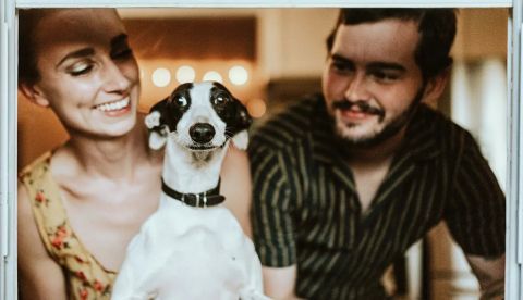 Pero, ¿qué pueden decirle sus perros? Chewy / Unsplash, CC BY-NC-SA