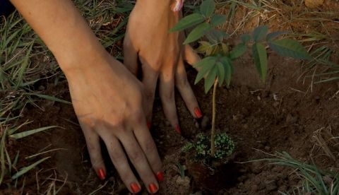 Proponen a la ministra Teresa Ribera plantar un árbol por cada niño que nazca/EFE/Andrés Cristaldo
