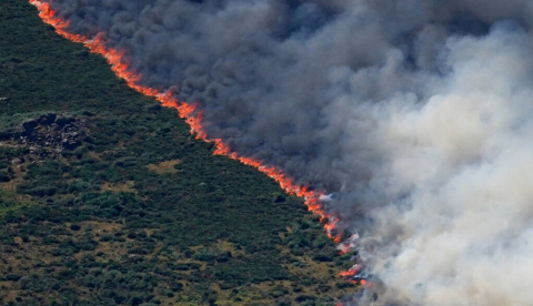 Un incendio forestal se extiende por las montañas cercanas a Burgohondo, en Ávila, el 27 de julio de 2026. Arafatmyt/Shutterstock