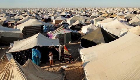 La indignidad de España ante el Sahara Occidental