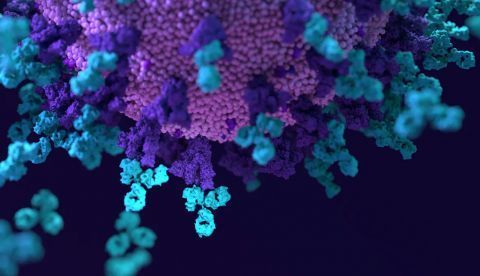 Shutterstock / r Design_Cells