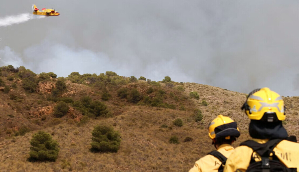 Medios de extinción frente al incendio en Los Gallardos, Almería, el 10 de julio de 2026. Arafatmyt/Shutterstock