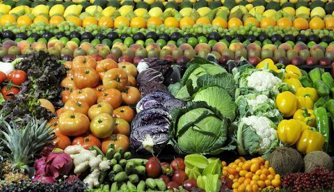 Los investigadores de la URV han revisado estudios científicos previos y han determinado que este acortamiento natural de los telómeros se puede prevenir siguiendo un patrón dietético rico en frutas y verduras, como la dieta mediterránea. EFE/Villar López/Archivo