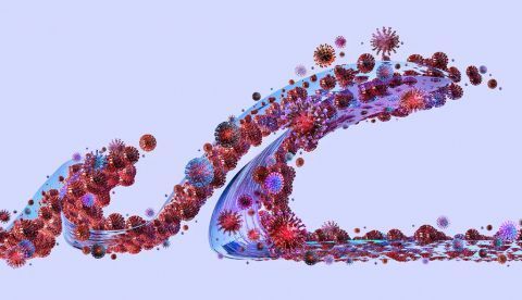 Shutterstock / Corona Borealis Studio