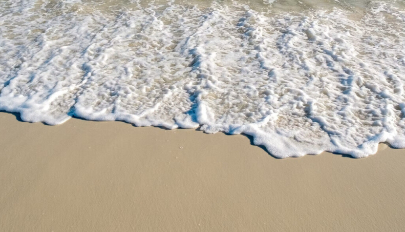 Cuidar nuestros bienes comunes: hacia una nueva cultura medioambiental y científica de la playa
