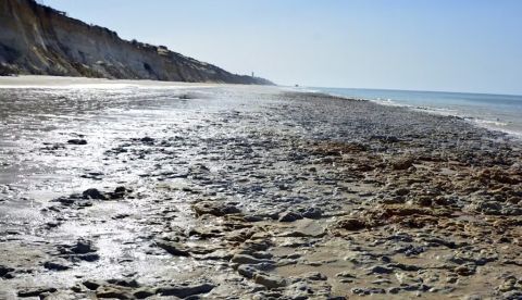 Vista general yacimiento con huellas de homínidos en la playa de Matalascañas, Huelva. E. Mayoral, Author provided