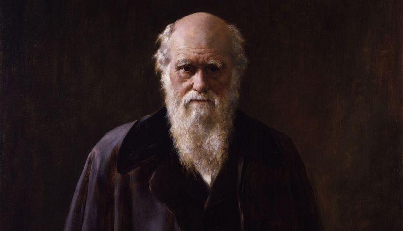 En 1881, Darwin era una figura eminente, que todavía trabajaba en sus contribuciones al pensamiento evolutivo que había tenido un efecto enorme en muchos campos de la ciencia. / Wikipedia