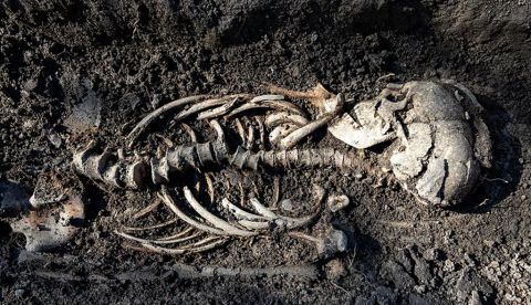 Hallan una tumba con un cuerpo momificado en Pompeya: el misterio de Marcus Venerius