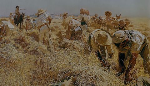 Listado de las primeras memorias sobre agricultura en la Sociedad Económica Matritense de Amigos del País