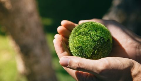 La transformación económica pasa por el respeto al medio ambiente