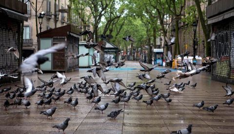 La ciudad espectáculo