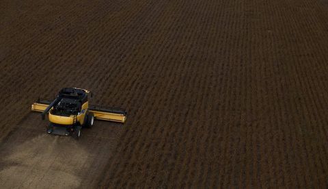 El consumo de materias primas agrícolas que se comercializan globalmente, como la soja y el aceite de palma, es una de las causas primarias de la deforestación y la pérdida de biodiversidad en la región, que cubre más de 1,9 millones de kilómetros cuadrados, el 22 % del territorio brasileño. EFE/Sebastião Moreira/Archivo 	   