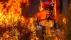 A firefighter works to contain a wildfire in Gironde, France, in late July. Mael Dubiez / EPA