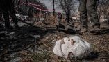 Foto de Алесь Усцінаў en Pexels