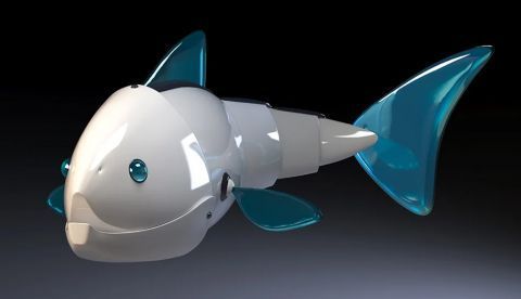 Diseñan un robot para asustar a las especies de peces invasoras
