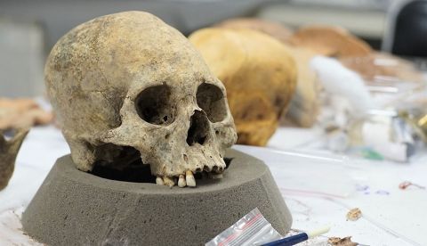 Fotografía del 10 de abril del 2018 de un cráneo en el laboratorio del Museo Nacional de Arqueología en La Paz (Bolivia). EFE