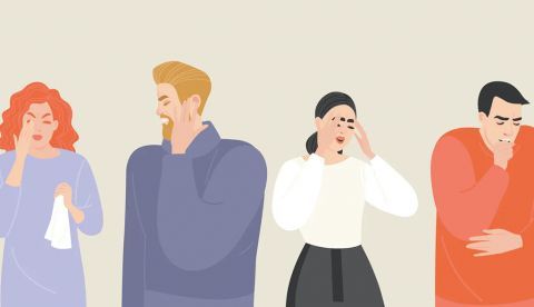 Shutterstock / Maryia Naidzionysheva
