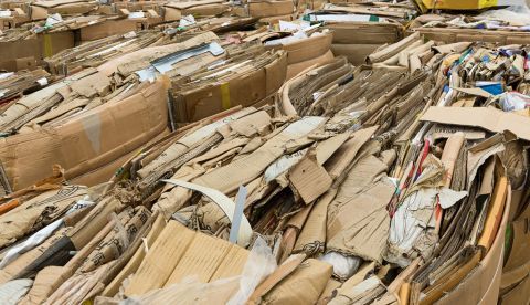 En Navidad se recogerán 900 millones de kilos de papel y cartón para reciclar
