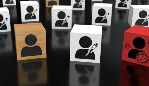 Shutterstock / oxinoxi