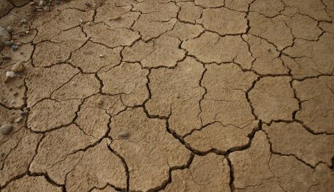 Clima extremo, enfermedades, hambrunas....así será el cambio climático 'mediterráneo' / EFE