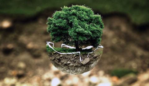 Economía sostenible y transición ecológica justa