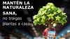 El Ministerio de Agricultura, Pesca y Alimentación coordina en España la campaña europea PlantHealth4Life. / © lamoncloa.gob.es. Ministerio de la Presidencia.