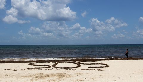 Según el informe, el promedio mundial de desoxigenación esconde unos cambios locales que podrían ser más severos en latitudes medias o altas y así, algunas simulaciones de modelos océanicos proyectan para el año 2100 una disminución del stock de oxígeno de los océanos de hasta un 7 por ciento en un escenario sin cambios. EFE/Alonso Cupul/Archivo