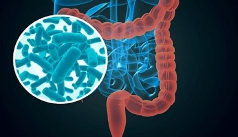 Microbioma de un bebé. Efeagro/Csic