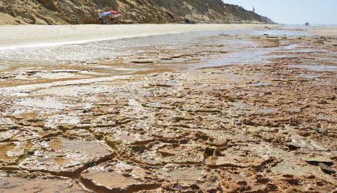 Un paseo por la playa de Doñana: así encontramos las primeras huellas de neandertales en la península ibérica
