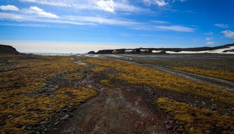 La Bahía del Paso Drake, en la Isla Rey Jorge (Antártida). En verano los paisajes de la Isla Rey Jorge de la Antártida pierden el blanco característico de la nieve y sacan a lucir una gama de colores donde reina el verde de los pastos y el amarillo de los musgos. EFE/Federico Anfitti