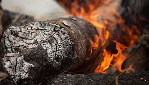 Naciones Unidas advierte que el número de incendios forestales aumentará en un 50% para el 2100